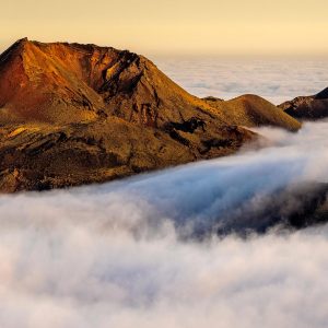 Guided Audio: Intuition (60 minutes)